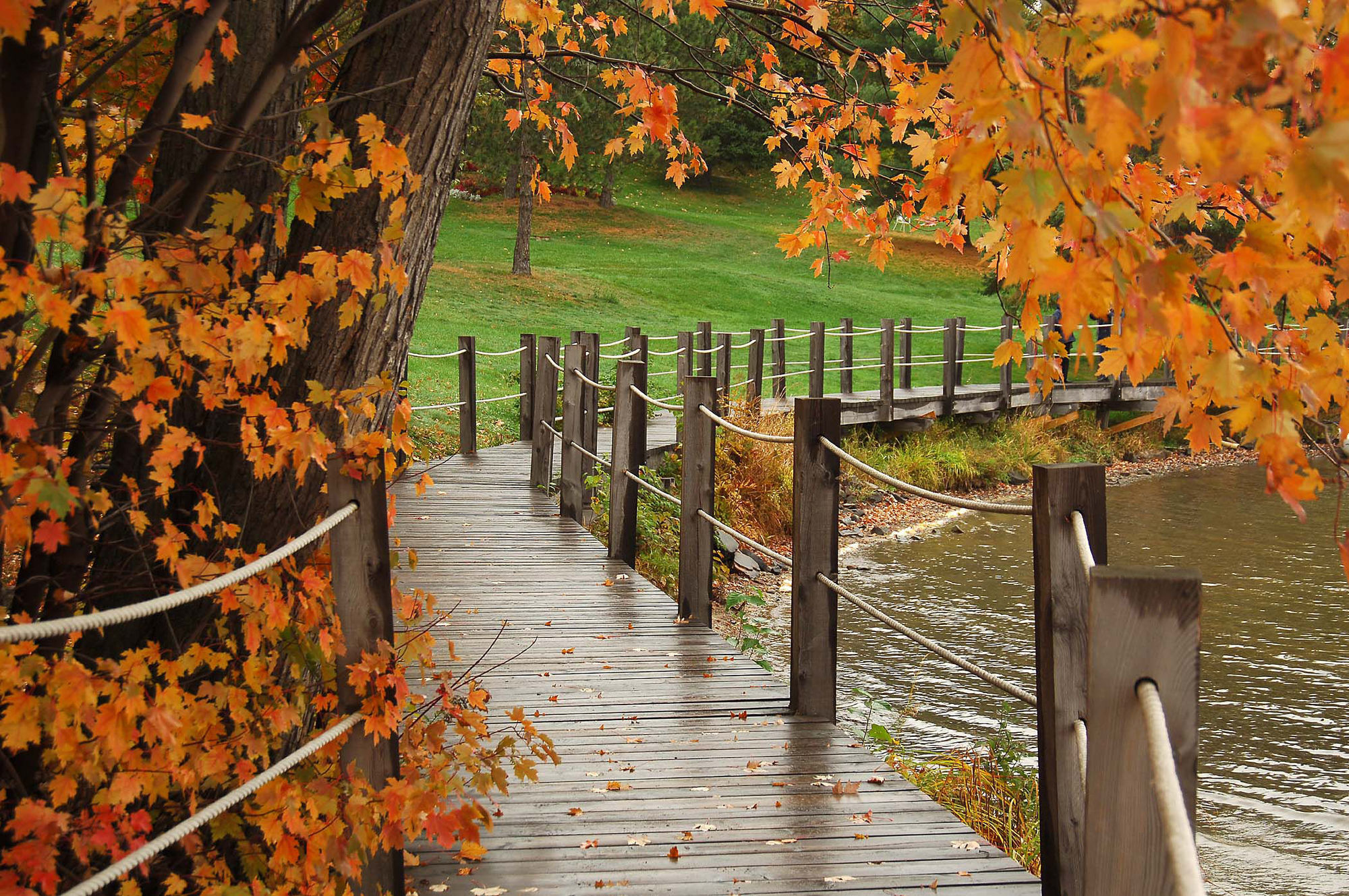 Deerhurst Resort Huntsville Bagian luar foto